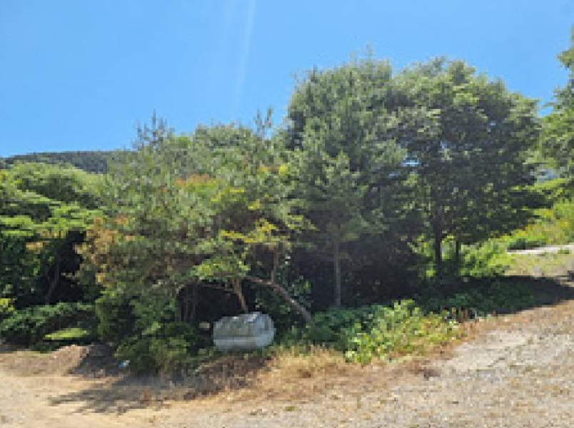 경상남도 창원시 성산구 양곡동 1091 외 23필지 단독주택 경매 사진 58