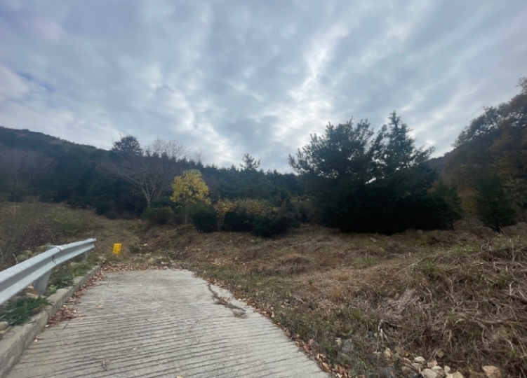 경상남도 창원시 성산구 양곡동 1091 외 23필지 단독주택 경매 사진 7
