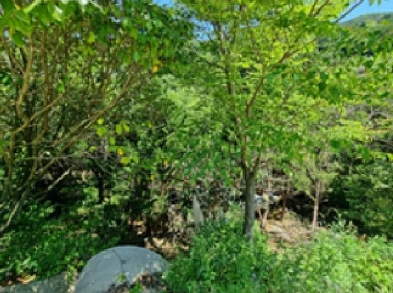 경상남도 창원시 성산구 양곡동 1091 외 23필지 단독주택 경매 사진 69