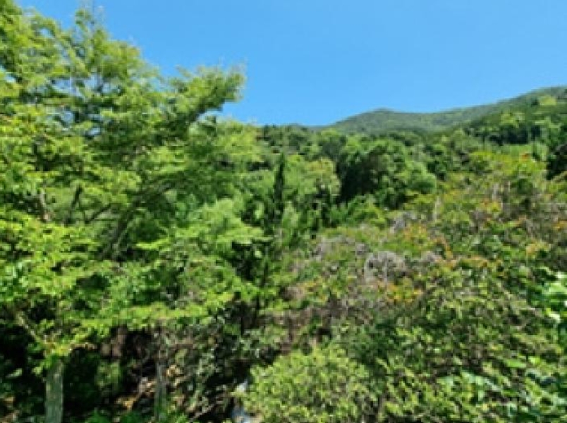 경상남도 창원시 성산구 양곡동 1091 외 23필지 단독주택 경매 사진 71