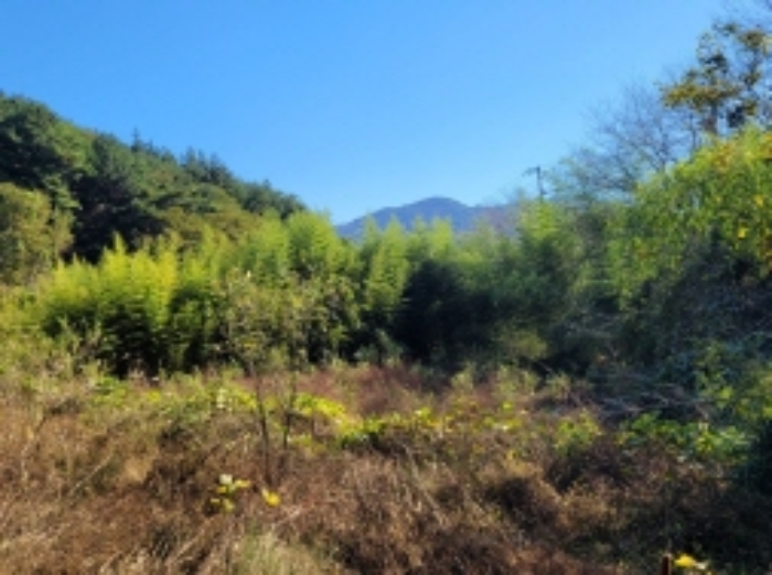 경상남도 하동군 고전면 고하리 897-8 외 1필지 답 경매 사진 2