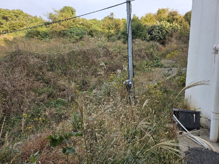 경상남도 거제시 남부면 다대리 350-6 외 3필지 다가구주택 경매 사진 35