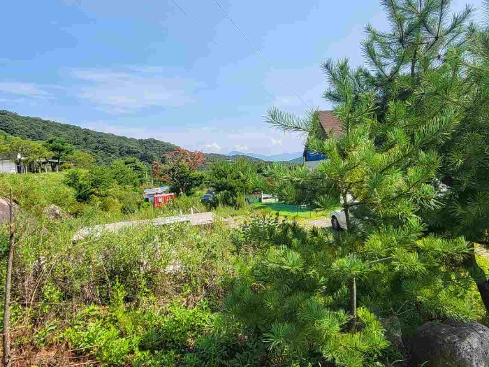 경기도 양평군 강하면 동오리 771-44 외 3필지 목장용지 경매 사진 1