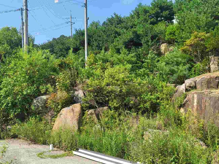 경기도 양평군 강하면 동오리 771-44 외 3필지 목장용지 경매 사진 4
