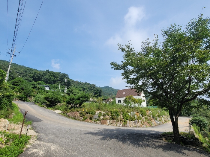 경기도 양평군 강하면 동오리 771-52 외 1필지 창고용지 경매 사진 8
