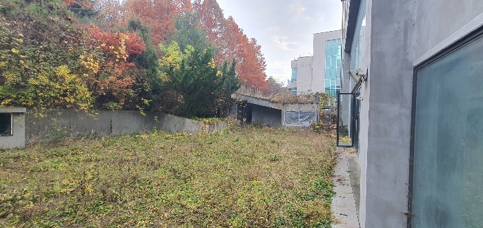 경기도 파주시 탄현면 법흥리 1652-506 근린생활시설 경매 사진 7