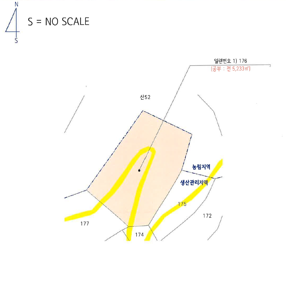 강원특별자치도 삼척시 노곡면 주지리 176 전 경매 사진 13