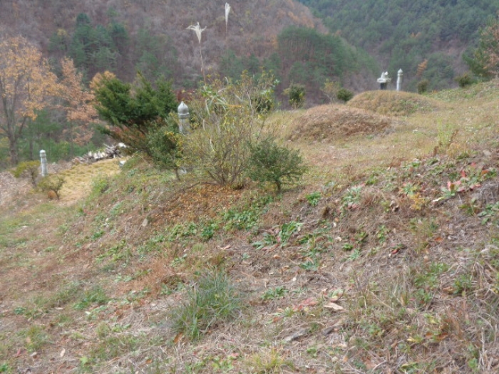 강원특별자치도 삼척시 노곡면 주지리 176 전 경매 사진 9