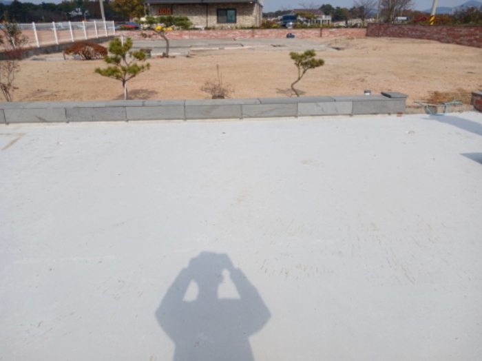 충청남도 서산시 음암면 신장리 261-45 외 5필지 상가주택 경매 사진 8