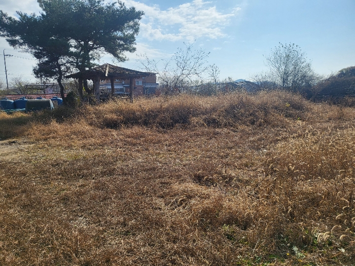 경상북도 문경시 영신동 393 외 1필지 과수원 경매 사진 11