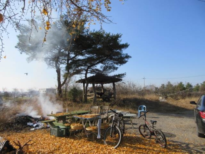 경상북도 문경시 영신동 393 외 1필지 과수원 경매 사진 4