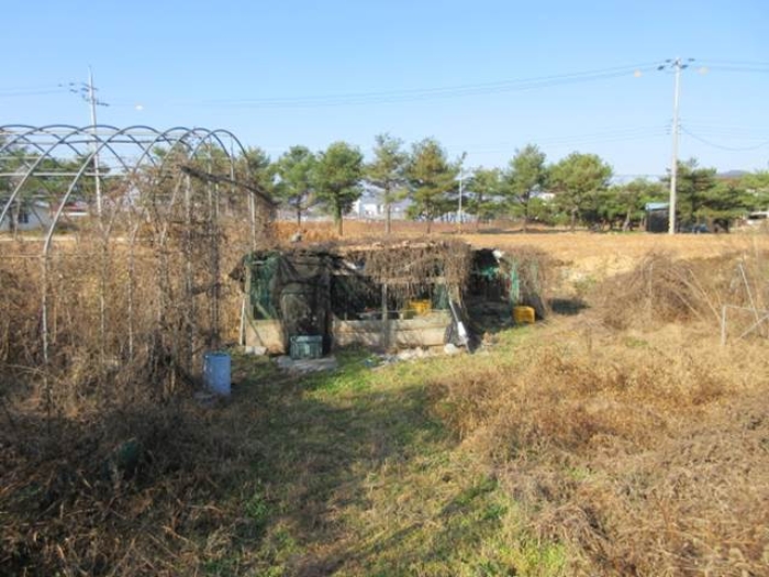 경상북도 문경시 영신동 393 외 1필지 과수원 경매 사진 5