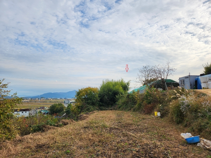 경상남도 하동군 금성면 궁항리 569 외 1필지 전 경매 사진 8