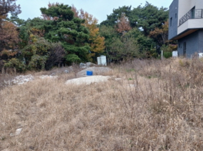 충청남도 서산시 해미면 동암리 185-1 제1동 외 3필지 단독주택 경매 사진 2
