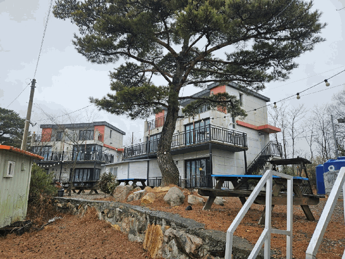 경상북도 경주시 양남면 신대리 533-4 외 1필지 숙박시설 경매 사진 6