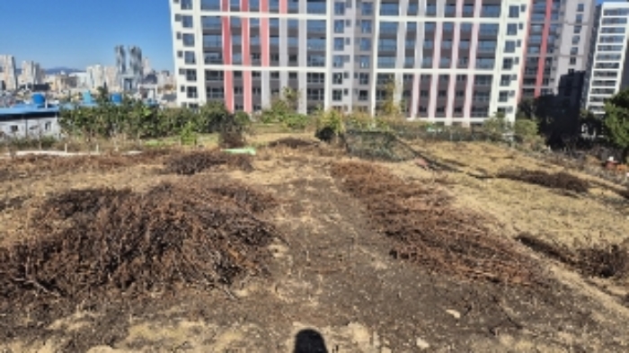광주광역시 남구 월산동 586 전 경매 사진 2
