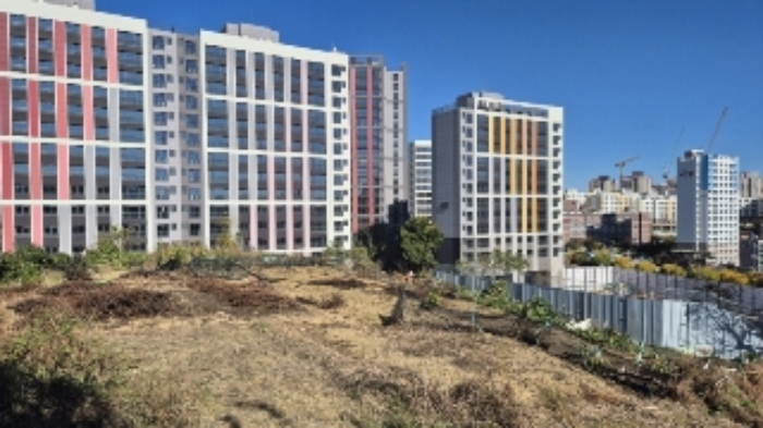 광주광역시 남구 월산동 586 전 경매 사진 3