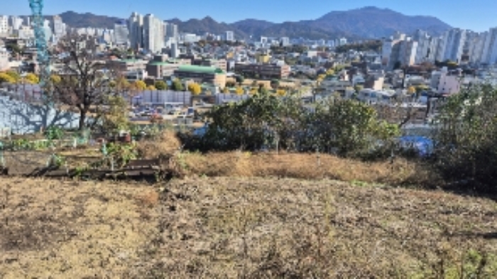 광주광역시 남구 월산동 586 전 경매 사진 4