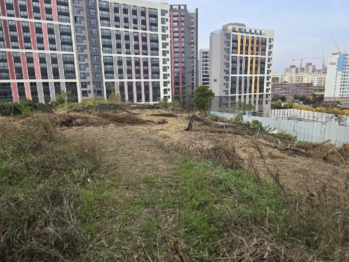 광주광역시 남구 월산동 586 전 경매 사진 5