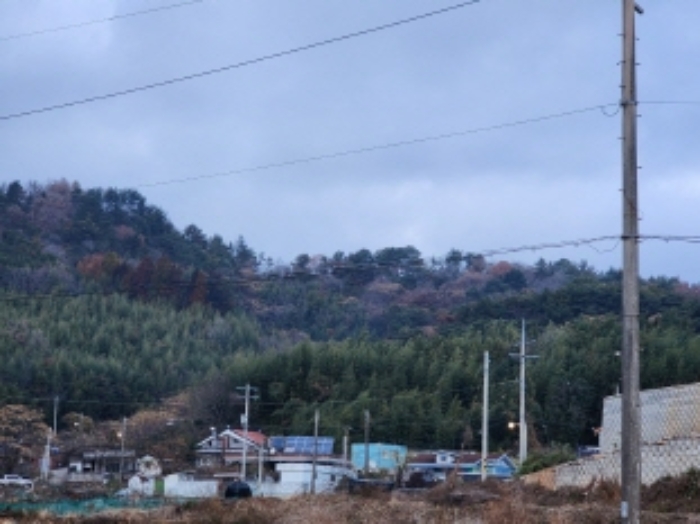전라남도 여수시 율촌면 월산리 산14-5 임야 경매 사진 14
