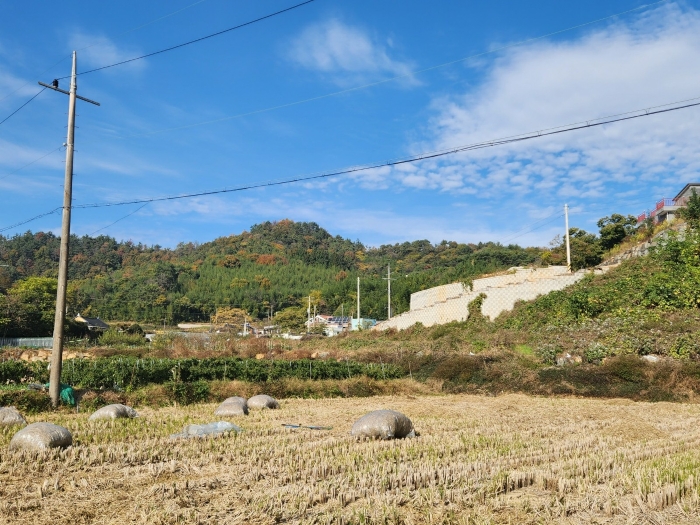 전라남도 여수시 율촌면 월산리 산14-5 임야 경매 사진 19