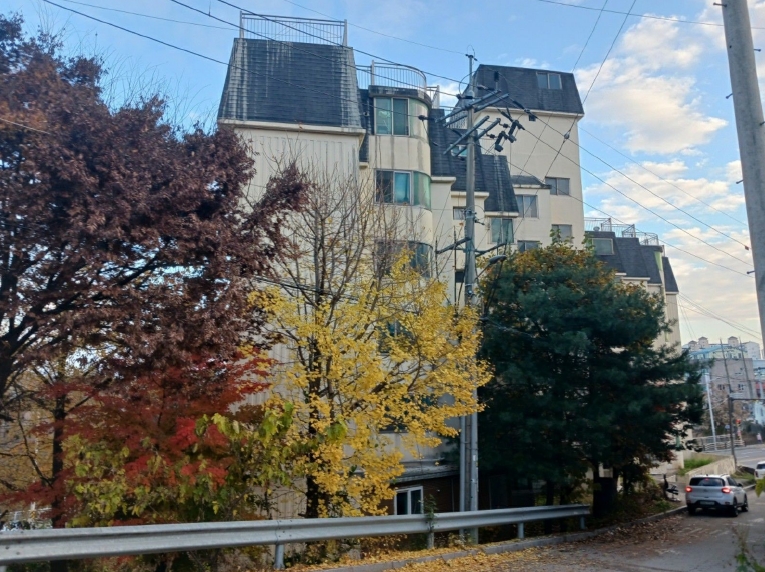 경기도 연천군 전곡읍 전곡리 381-7 1층101호 외 4필지 아파트 경매 사진 3