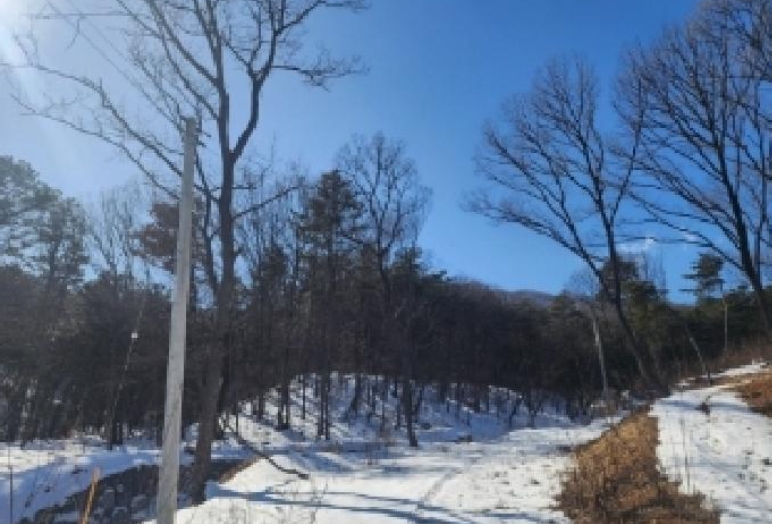충청북도 진천군 이월면 노원리 산33-3 임야 경매 사진 24