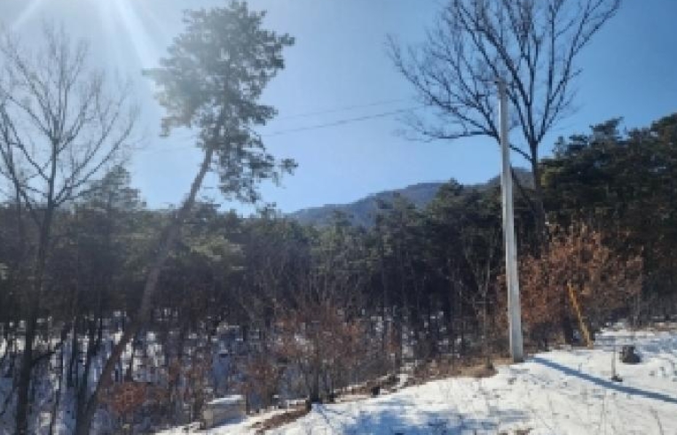 충청북도 진천군 이월면 노원리 산33-3 임야 경매 사진 25