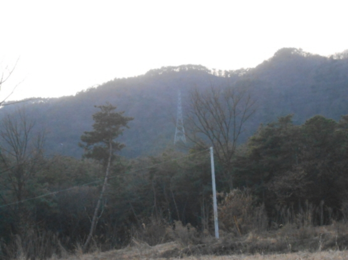 충청북도 진천군 이월면 노원리 산33-3 임야 경매 사진 26