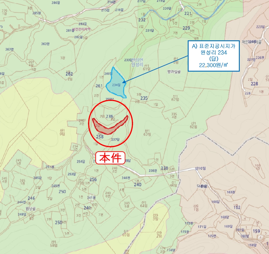 세종특별자치시 전의면 원성리 258-2 답 경매 사진 16
