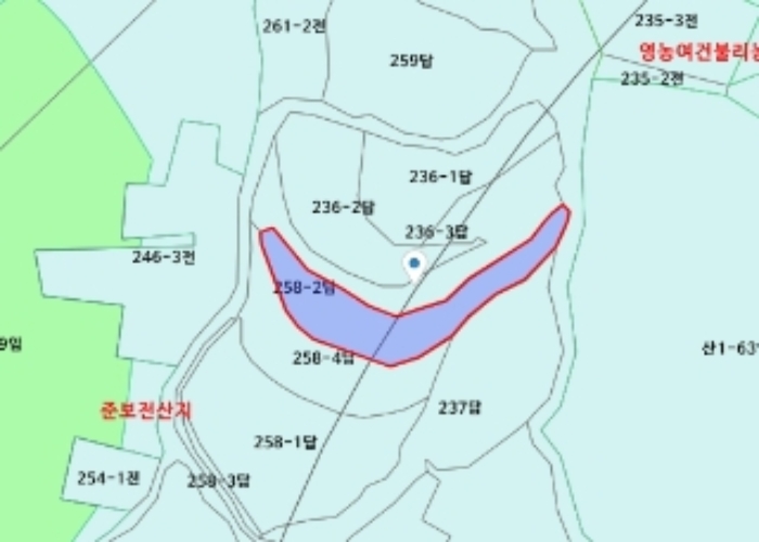 세종특별자치시 전의면 원성리 258-2 답 경매 사진 18