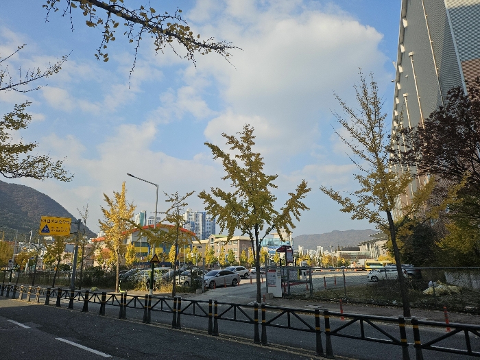 경상남도 김해시 내동 1131-1 대지 경매 사진 12