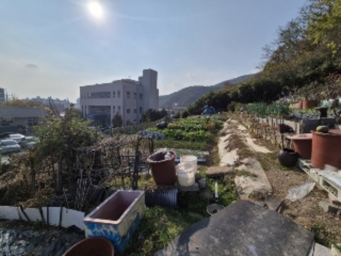 전라남도 화순군 화순읍 교리 184-1 외 3필지 전 경매 사진 1