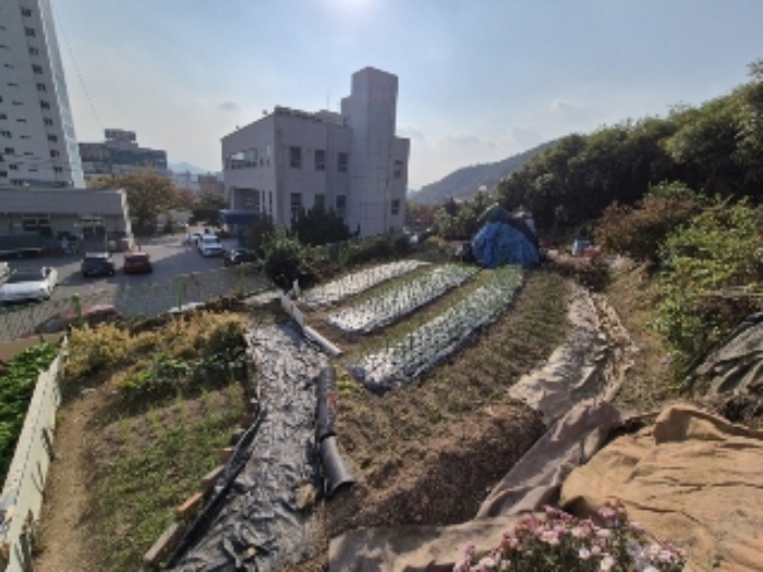 전라남도 화순군 화순읍 교리 184-1 외 3필지 전 경매 사진 2