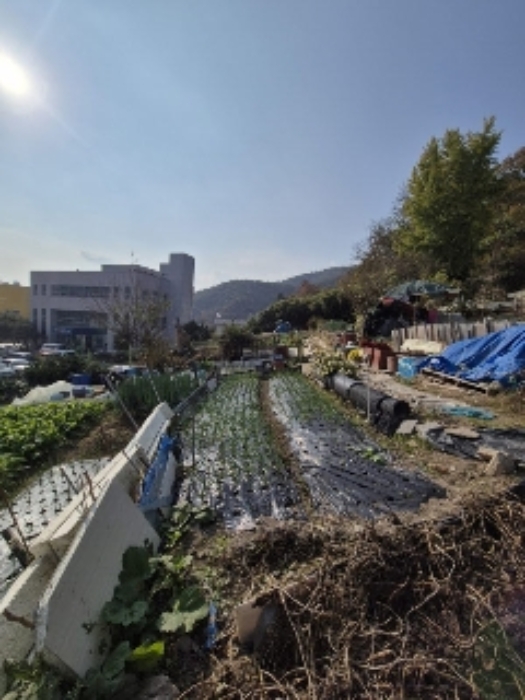 전라남도 화순군 화순읍 교리 184-1 외 3필지 전 경매 사진 6