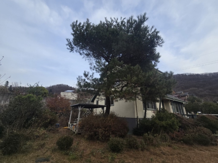 경기 가평군 청평면 대성리 산 185-73 외 1필지 단독주택 경매 사진 10