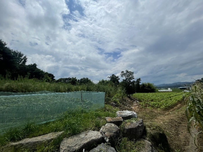 전북특별자치도 장수군 산서면 신창리 198 전 경매 사진 2