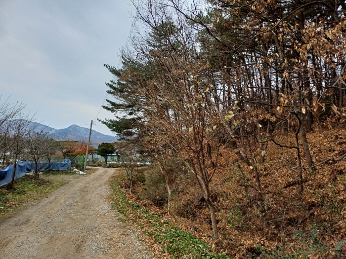 인천광역시 강화군 내가면 오상리 327-16 임야 경매 사진 20