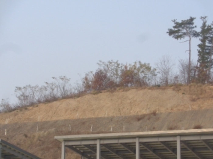 충청북도 괴산군 청안면 금신리 산66 외 3필지 임야 경매 사진 3