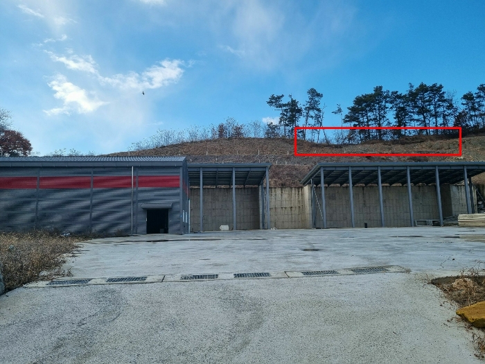 충청북도 괴산군 청안면 금신리 산66 외 3필지 임야 경매 사진 8