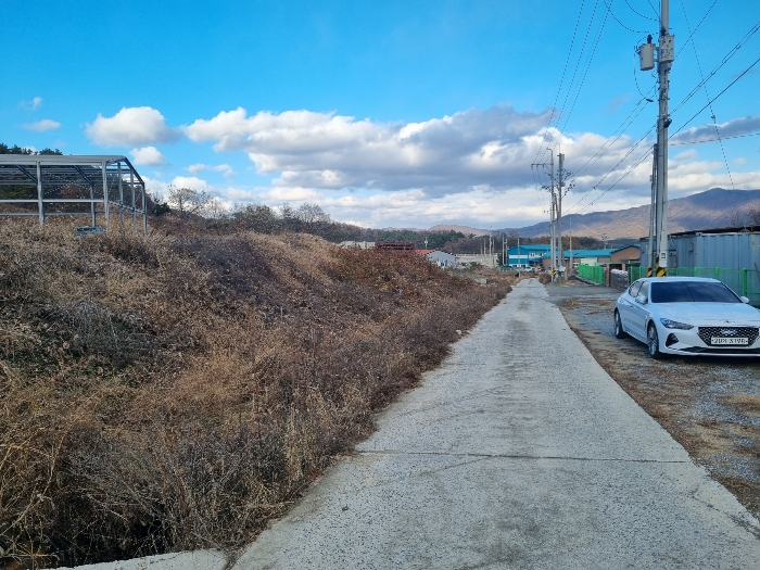 충청북도 괴산군 청안면 금신리 산66 외 3필지 임야 경매 사진 10