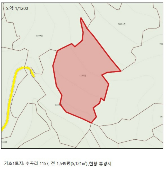 충청북도 제천시 수산면 수곡리 1157 외 1필지 전 경매 사진 15
