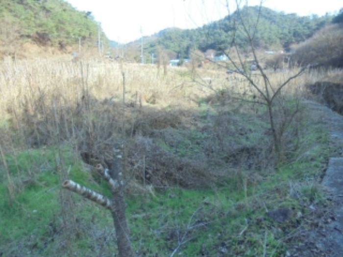 충청북도 제천시 수산면 수곡리 1157 외 1필지 전 경매 사진 4