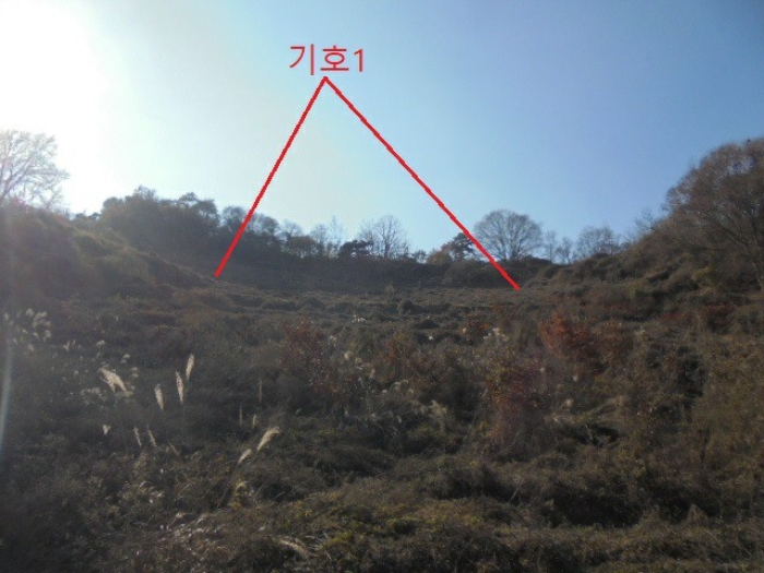 충청북도 제천시 수산면 수곡리 1157 외 1필지 전 경매 사진 5