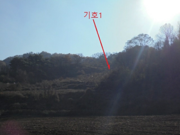 충청북도 제천시 수산면 수곡리 1157 외 1필지 전 경매 사진 7