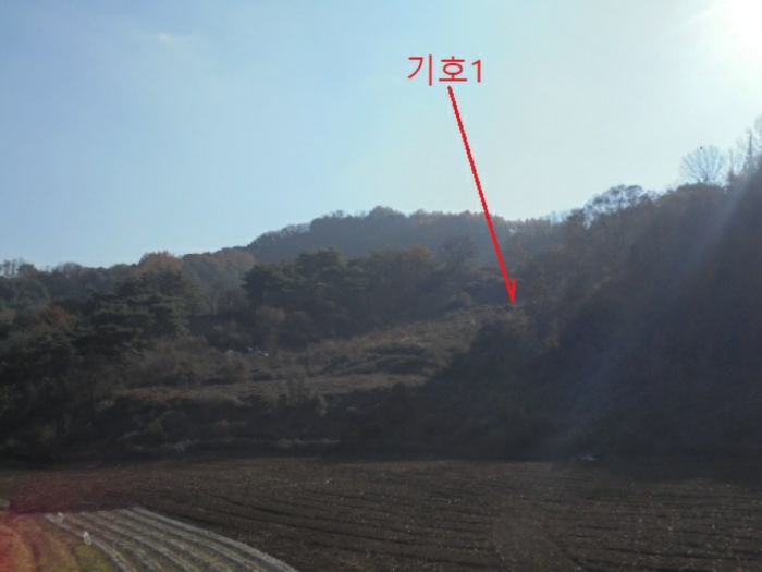 충청북도 제천시 수산면 수곡리 1157 외 1필지 전 경매 사진 9