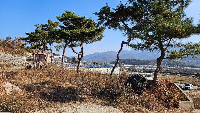 충청남도 공주시 계룡면 유평리 362-1 외 6필지 근린생활시설 경매 사진 34