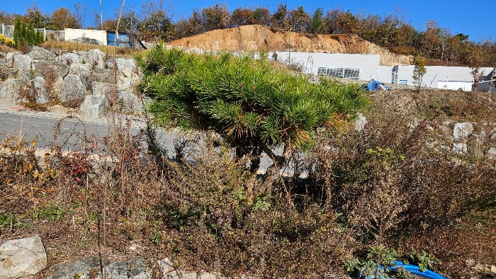 충청남도 공주시 계룡면 유평리 362-1 외 6필지 근린생활시설 경매 사진 35