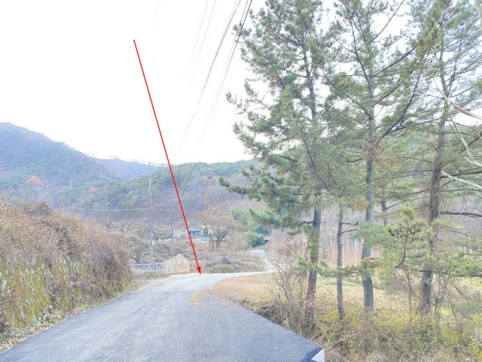 경상북도 청도군 금천면 사전리 1315-1 외 2필지 전 경매 사진 13