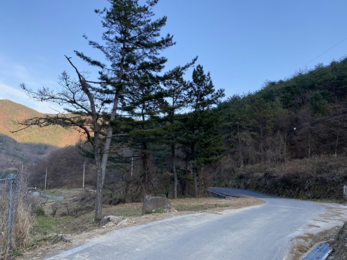 경상북도 청도군 금천면 사전리 1315-1 외 2필지 전 경매 사진 10